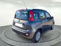 Usado Fiat Panda Lounge 69 CV (50 kW) 2019 Gris Utilitario