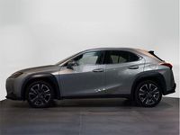 usado Lexus UX 250h Lury 2wd