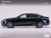 usado Lexus ES300 300h Business