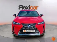 Usado Lexus UX 250h Business Edition 184 CV (135 kW) 2021 Rojo SUV