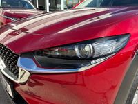 Usado Mazda CX-30 122 CV (89 kW) 2022 Rojo SUV