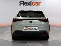 Usado Lexus UX Sport Line 199 CV (146 kW) 2024 Blanco SUV