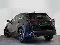 Usado Lexus UX 250h 184 CV (135 kW) 2023 SUV