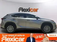 Usado Lexus NX300h Business Edition 197 CV (144 kW) 2020 Gris SUV