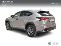 Usado Lexus NX300h Business Edition 197 CV (144 kW) 2018 Gris SUV
