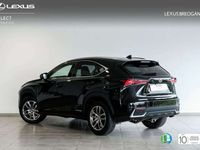 usado Lexus NX300 300h Executive Navigation 4WD