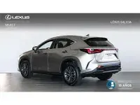 Usado Lexus NX450h+ 292 CV (214 kW) 2026 Gris SUV