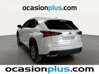 Usado Lexus NX300h Business Edition 197 CV (144 kW) 2019 Blanco SUV