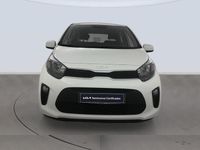 Usado Kia Picanto 67 CV (49 kW) 2023 Blanco Utilitario