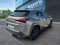 Usado Lexus UX 250h Business Edition 184 CV (135 kW) 2022 Gris SUV