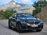 Usado BMW X6 Comfort Edition 265 CV (194 kW) 2020 Verde SUV