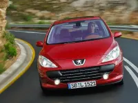 Usado Peugeot 307 90 CV (66 kW) 2005 Gris Utilitario
