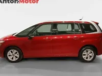 Usado Citroën C4 Feel 130 CV (95 kW) 2021