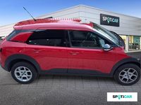 Usado Citroën C4 Cactus Feel 99 CV (72 kW) 2019 Rojo Utilitario