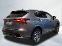 usado Lexus NX300h Executive Navigation 4WD 145 kW (197 CV)