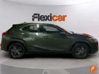 Usado Lexus UX Business Edition 184 CV (135 kW) 2019 Verde SUV