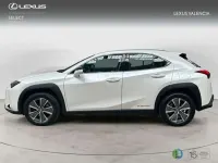 Usado Lexus UX 300e Business Edition 150 kW (204 CV) 2022 Blanco SUV