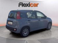 Usado Fiat Panda 71 CV (52 kW) 2022 Gris Berlina