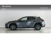Usado Lexus UX 250h 184 CV (135 kW) 2024 Gris SUV