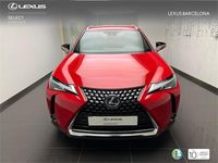 Usado Lexus UX Business Edition 184 CV (135 kW) 2022 Rojo SUV