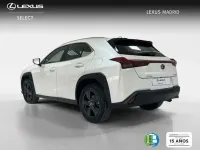 Usado Lexus UX 300h 199 CV (146 kW) 2025 Blanco SUV