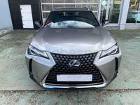 Usado Lexus UX 184 CV (135 kW) 2021 Gris / plata SUV