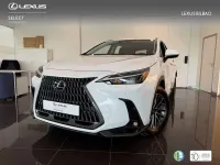Usado Lexus NX350h 242 CV (177 kW) 2025 Blanco SUV