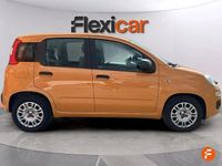 Usado Fiat Panda City Life 70 CV (51 kW) 2021 Naranja Utilitario