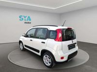 Usado Fiat Panda City Life 69 CV (50 kW) 2023 Blanco Utilitario