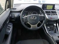 usado Lexus NX300h Business Navigation 2wd