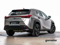 usado Lexus UX 250h 2.0 BUSINESS AUTO 184 5P