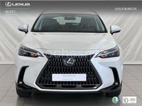 Usado Lexus NX350h 242 CV (177 kW) 2024 Blanco SUV