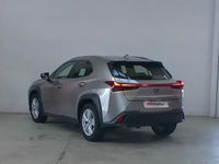 usado Lexus UX 250h 2WD