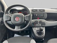Usado Fiat Panda Cross Cross 70 CV (51 kW) 2022 Blanco Utilitario