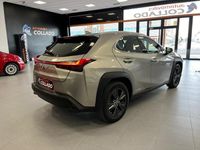 Usado Lexus UX 250h Business Edition 184 CV (135 kW) 2020 Gris SUV