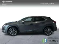 Usado Lexus UX Sport Line 199 CV (146 kW) 2025 Gris SUV