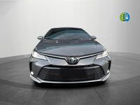 Nuevo Toyota Corolla Plus 140 CV (102 kW) 2025 Gris Berlina