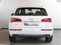 Usado Audi Q5 S-Line 163 CV (119 kW) 2017 Blanco SUV