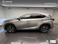 usado Lexus NX300 300h F Sport Panorámico 4WD