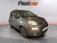 Usado Fiat Panda City Life 71 CV (52 kW) 2022 Gris Utilitario