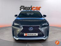 Usado Lexus NX300h Sport Line 197 CV (144 kW) 2017 Gris SUV