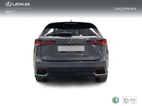 Usado Lexus NX300h 197 CV (144 kW) 2021 Gris SUV