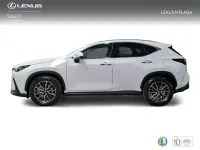 Nuevo Lexus NX450h+ 292 CV (214 kW) 2026 Blanco SUV