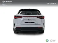 Nuevo Lexus NX450h+ 292 CV (214 kW) 2026 Blanco SUV
