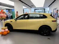 Nuevo Leapmotor B10 160 kW (218 CV) 2026 Amarillo SUV