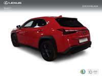 usado Lexus UX 2.0 250h Business en Málaga