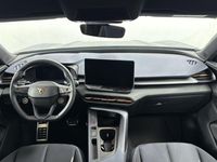 Usado Cupra Terramar 150 CV (110 kW) 2024 Azul SUV