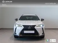Usado Lexus UX 184 CV (135 kW) 2022 Blanco SUV