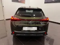 Usado Lexus UX 300h Sport Line 199 CV (146 kW) 2026 Verde SUV