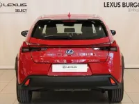 Usado Lexus UX Business Edition 184 CV (135 kW) 2022 Rojo SUV